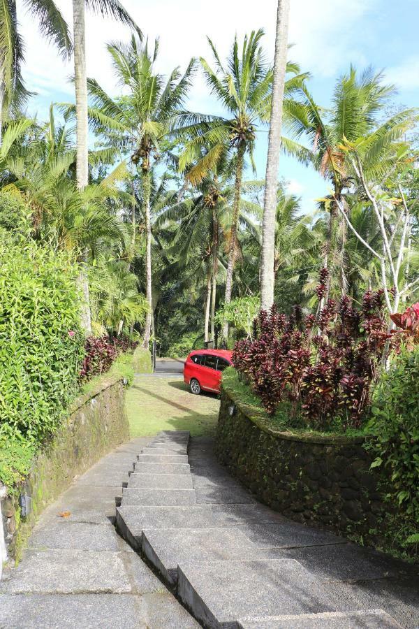 The Alise Villa Tegallalang  Exterior photo