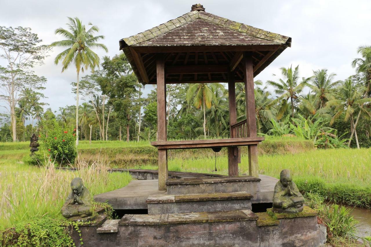 The Alise Villa Tegallalang  Exterior photo