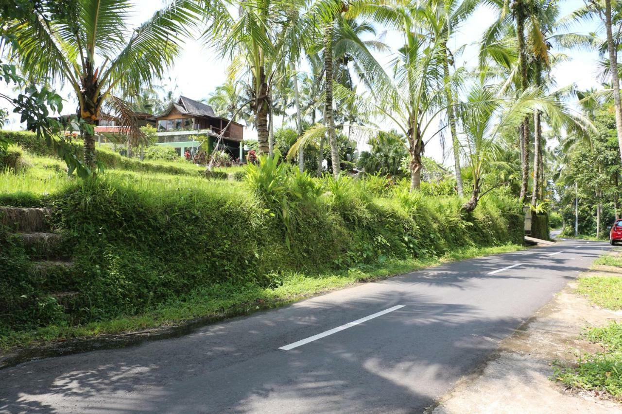 The Alise Villa Tegallalang  Exterior photo