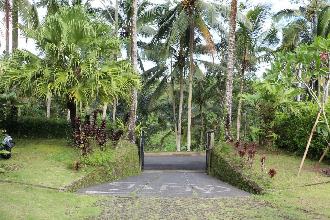 The Alise Villa Tegallalang  Exterior photo